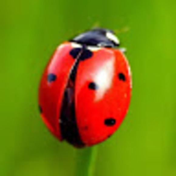 Meet your Posher, Cole - Picture 1 of 1